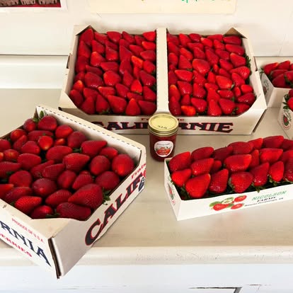 Strawberry fields in Rancho Cucamonga